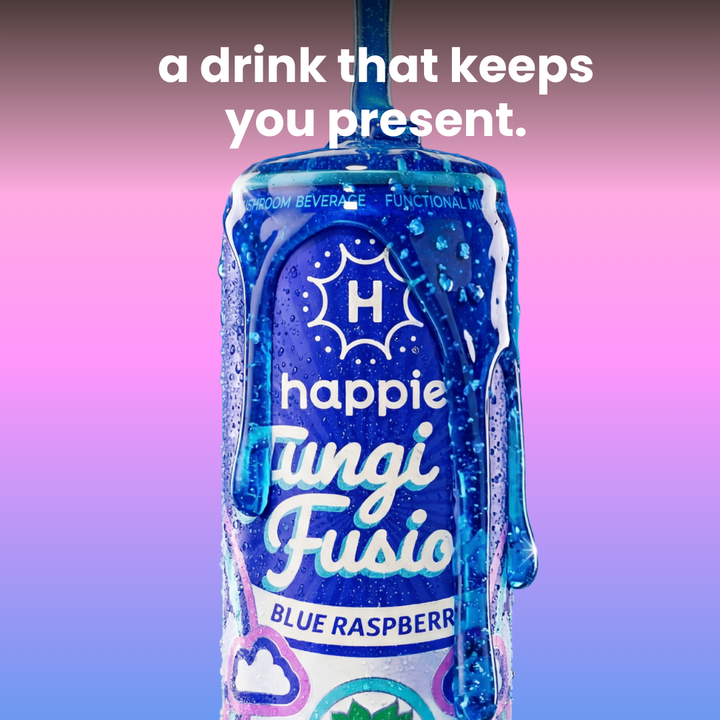 Happie Fungi Fusion 12-pack — caffeine-free functional mushroom beverage with dual-extracted fruiting body mushrooms