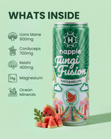 Watermelon Functional Mushroom Drink - 6-Pack
